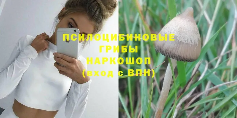 где купить наркоту  Верхняя Салда  Псилоцибиновые грибы MAGIC MUSHROOMS 